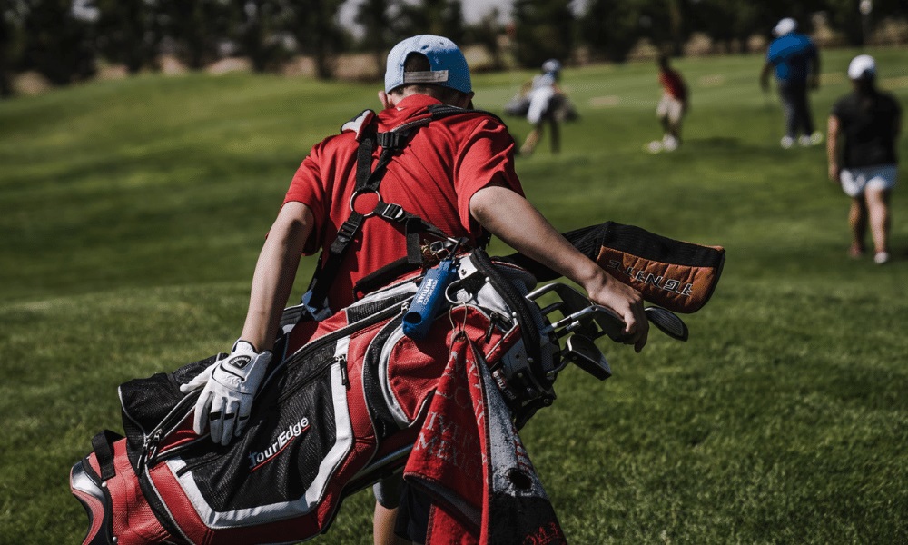 Top 10 Tips on the Price & Value of Golf Club Headcovers